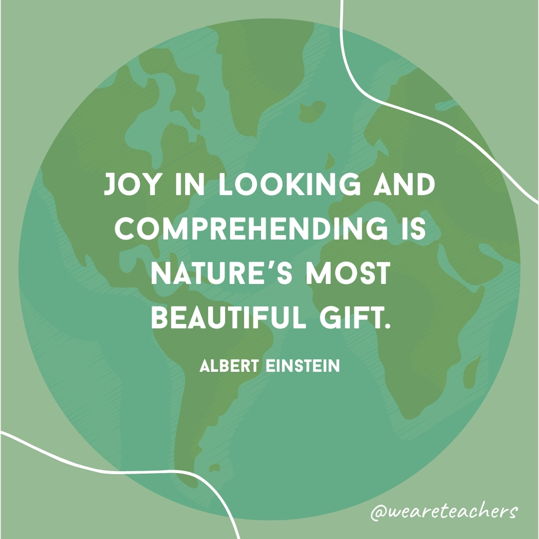 Joy in looking and comprehending is nature's most beautiful gift.