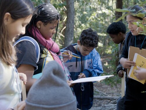 Kids writing in journals outside